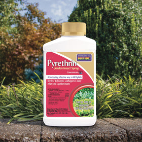 Biodegradable Bonide Pyrethrin offers eco-friendly garden pest control.