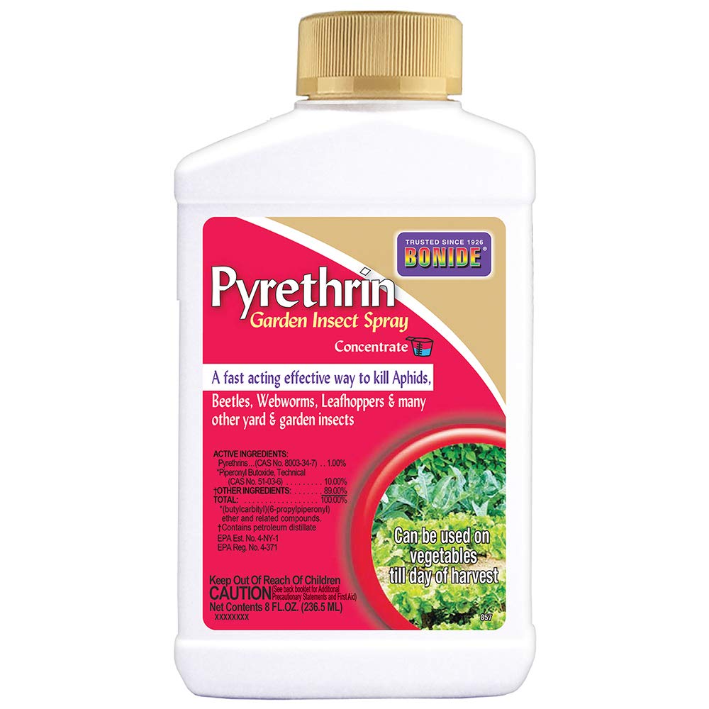 Bonide Pyrethrin garden spray bottle for quick outdoor insect control.