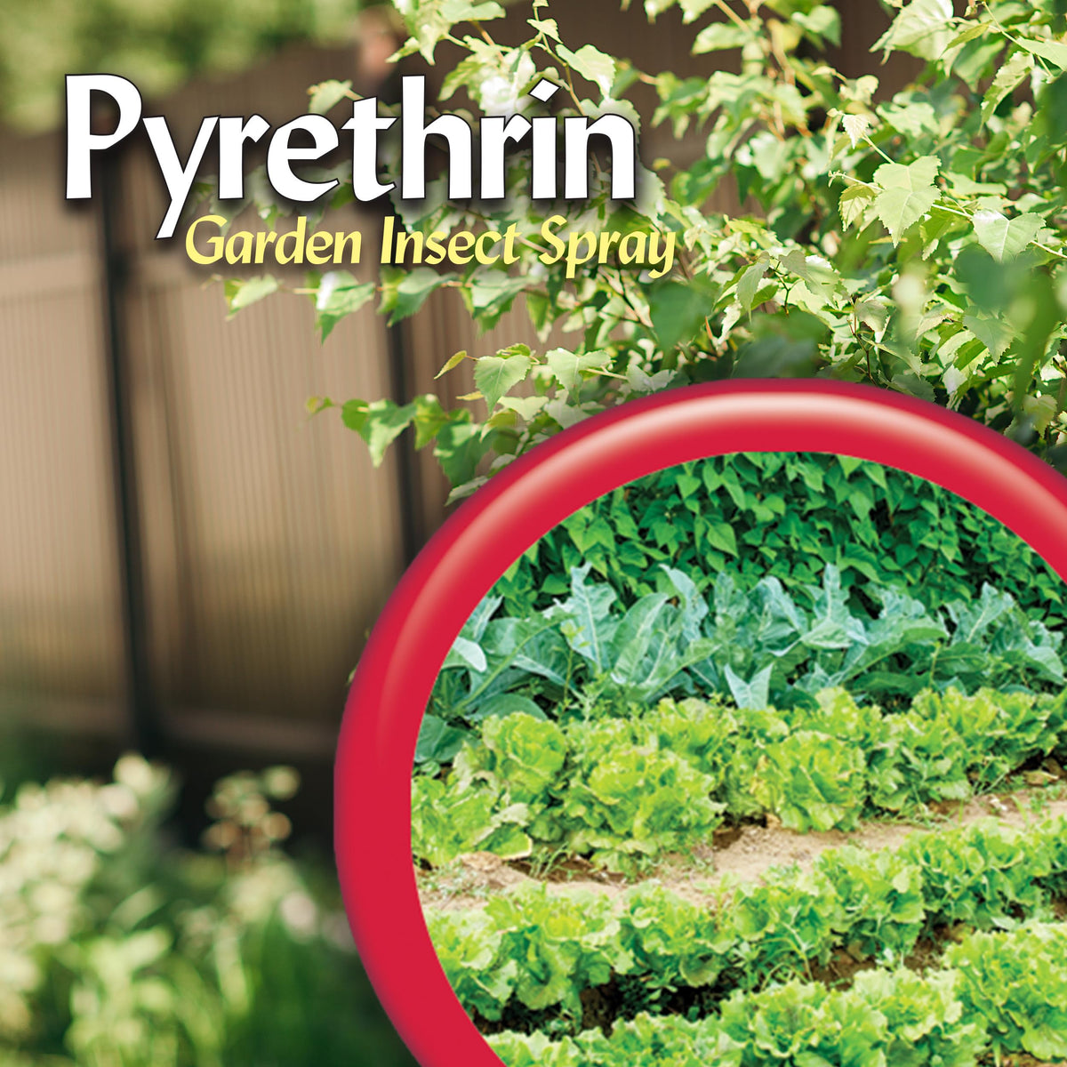 Bonide Pyrethrin guards common garden pests on foliage.
