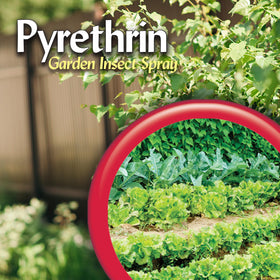 Bonide Pyrethrin guards common garden pests on foliage.