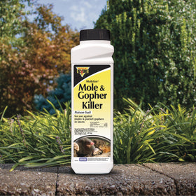 Bonide Revenge Moletox granules bait spread for pocket gopher control.