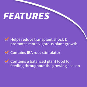 Bonide Root and Grow used during transplanting for sturdy establishment