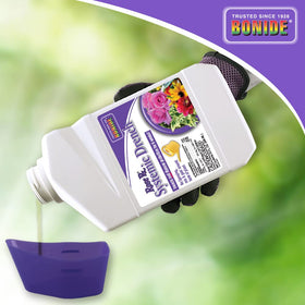 Bonide Rose Rx protects roses in the garden, supporting healthy growth.
