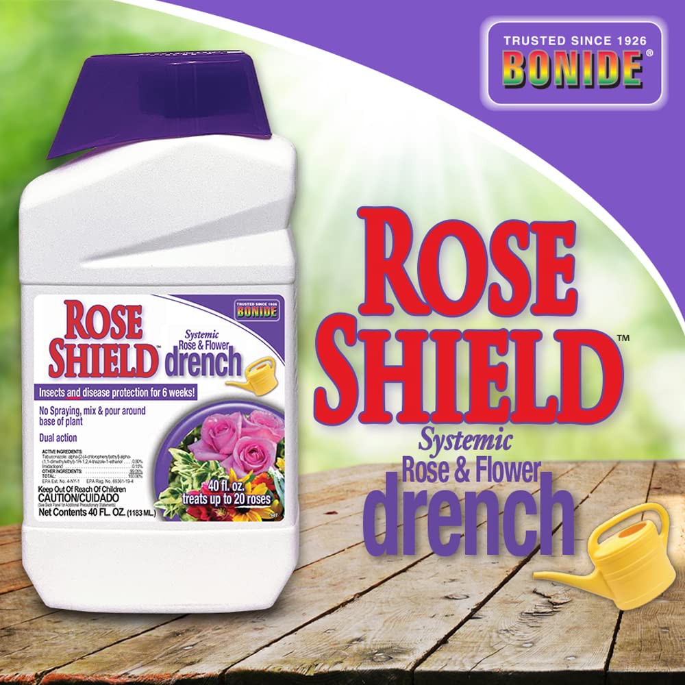 Bonide Rose Shield Drench guards against diseases like black spot and powdery mildew