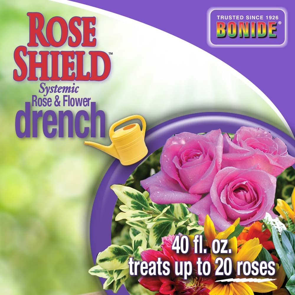 Bonide Rose Shield Drench used in a flowering rose border for season-long protection