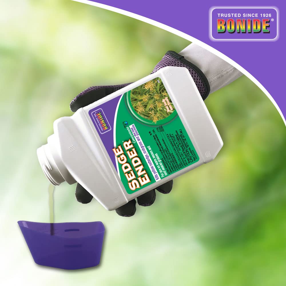 Bonide Sedge Ender dries to a rainproof residue on turf after thorough application.