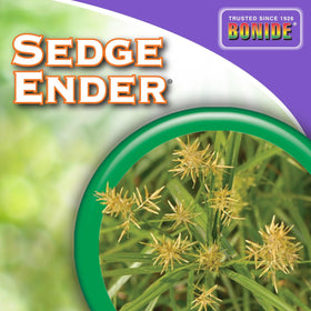 Bonide Sedge Ender lawn care results with fewer weeds.