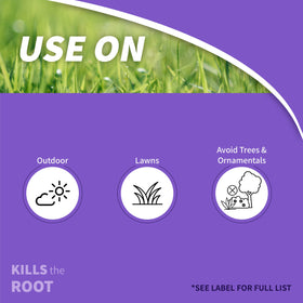 Bonide Sedge Ender spray application demonstrates easy pre- and post-emergent lawn weed treatment.