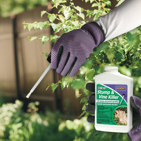 Bonide Stump-Out fast-acting formula targets stumps and vines within weeks.