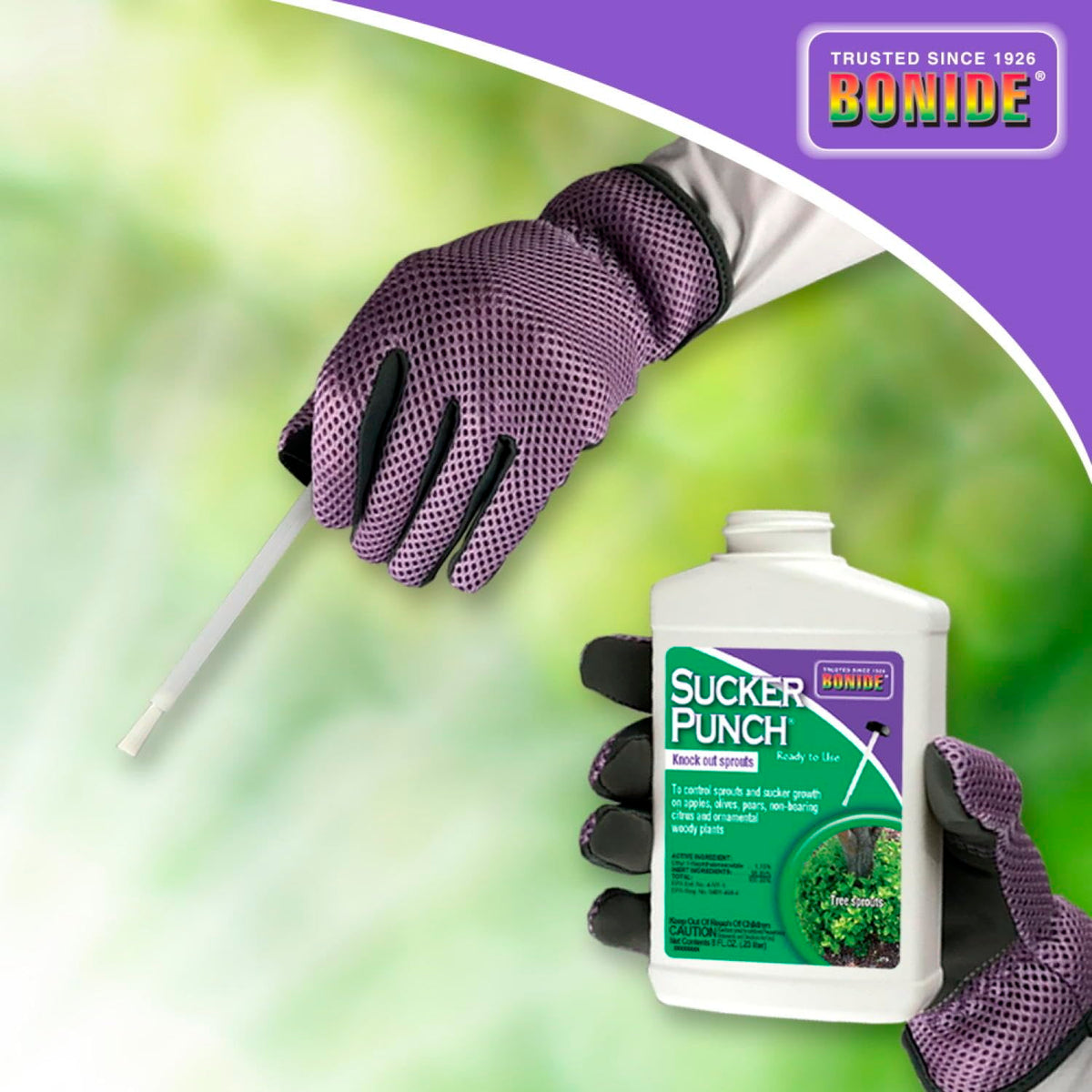 Bonide Sucker Punch after-pruning use simplifies maintenance