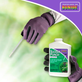 Bonide Sucker Punch after-pruning use simplifies maintenance