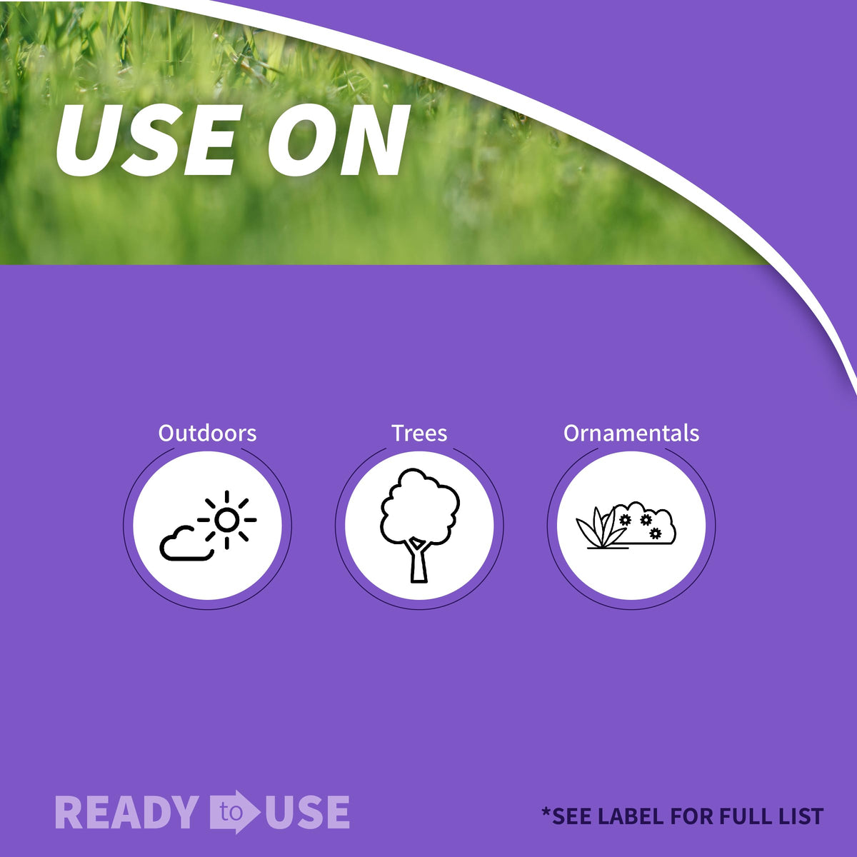 Bonide Sucker Punch brush-top applicator used on prune cuts for targeted control