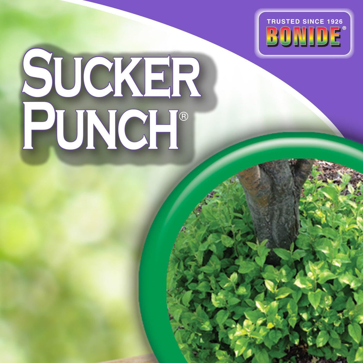 Bonide Sucker Punch demonstrates extended effect with up to six months of protection