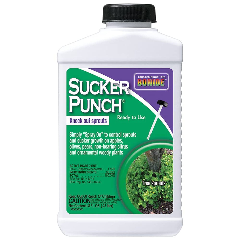 Bonide Sucker Punch ready-to-use bottle for brush application to suppress sprouts