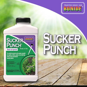 Bonide Sucker Punch on a woody tree branch supports cleaner, more uniform growth