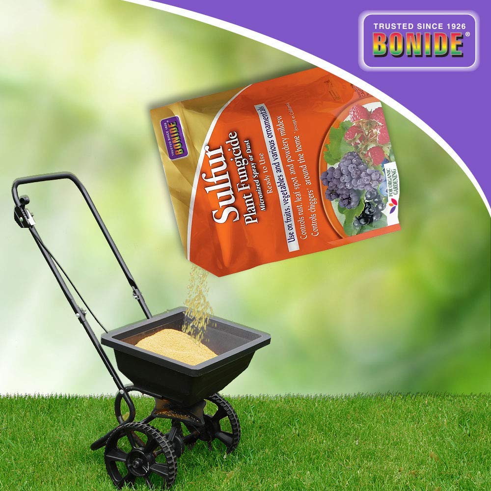 Bonide sulfur plant fungicide-film-coverage shows uniform leaf protection and thorough coverage.