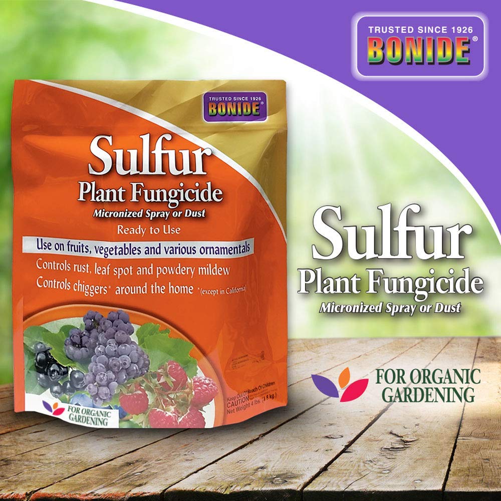 Bonide sulfur plant fungicide-organic-gardening supports safe use in organic gardens.