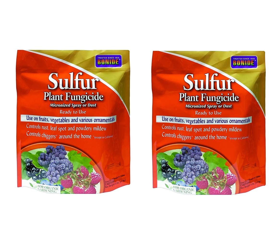 Bonide sulfur plant fungicide powder-dust ready for rust and mildew control in gardens.