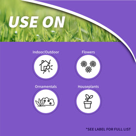 Bonide Systemic Houseplant Insect Control granules being spread for even soil coverage.