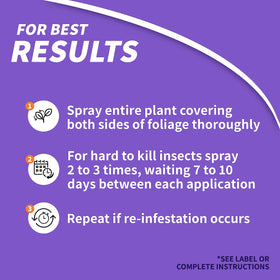 Bonide Systemic Insect Control applied to garden beds and ornamental flowers for protection