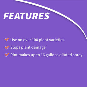 Bonide Systemic Insect Control leaf closeup for healthier foliage