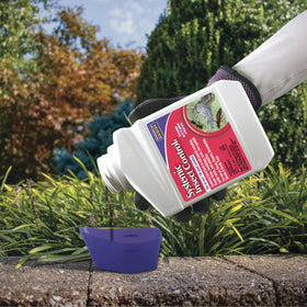 Bonide Systemic Insect Control mixed with fungicide for efficient garden treatment