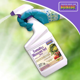 Bonide label shown with use on beans and eggplants to support yields