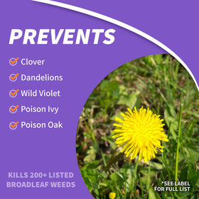 Bonide Weed Beater Ultra sprayer application shows efficient mixing and even coverage.