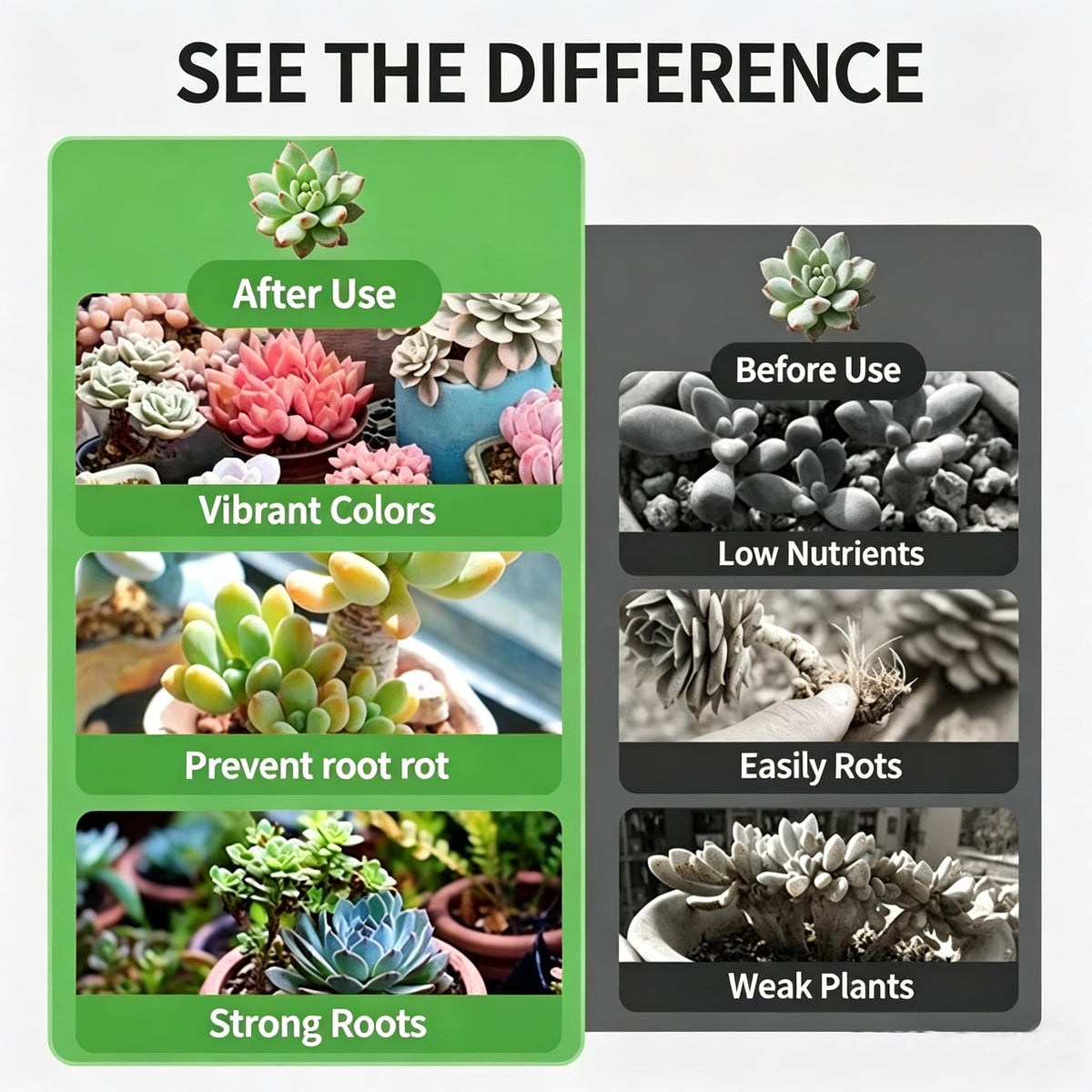 Boniosz gritty 6-in-1 mix supports drought-tolerant plants with superior drainage