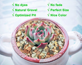 Boniosz green zeolite promotes pH balance for long-term soil stability