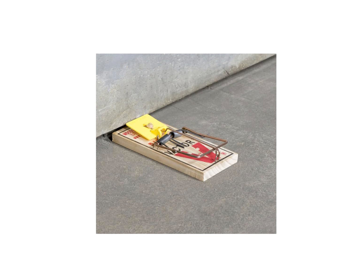 BONMAC Victor M205 large pedal detail, easy activation by rodents' contact