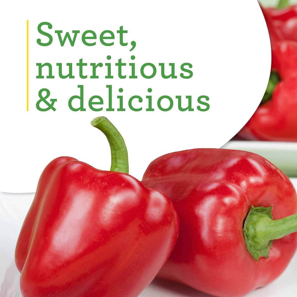 Bonnie Plants container pepper plant ideal for small-space gardens.