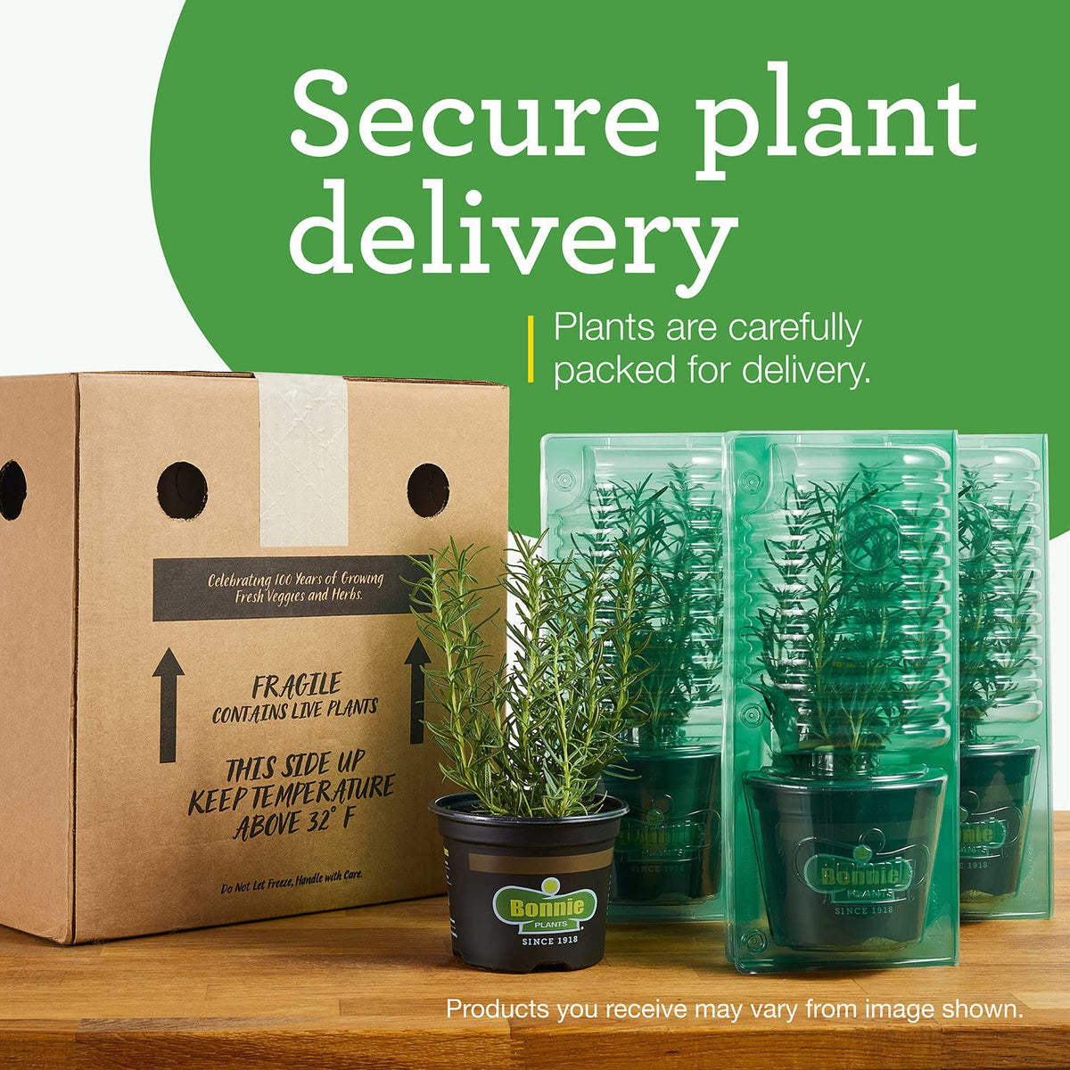 Bonnie Plants green bell pepper fruits suitable for slicing, stuffing, or freezing.