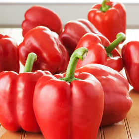 Bonnie Plants peppers with heavy yield on the stems for a bountiful harvest.