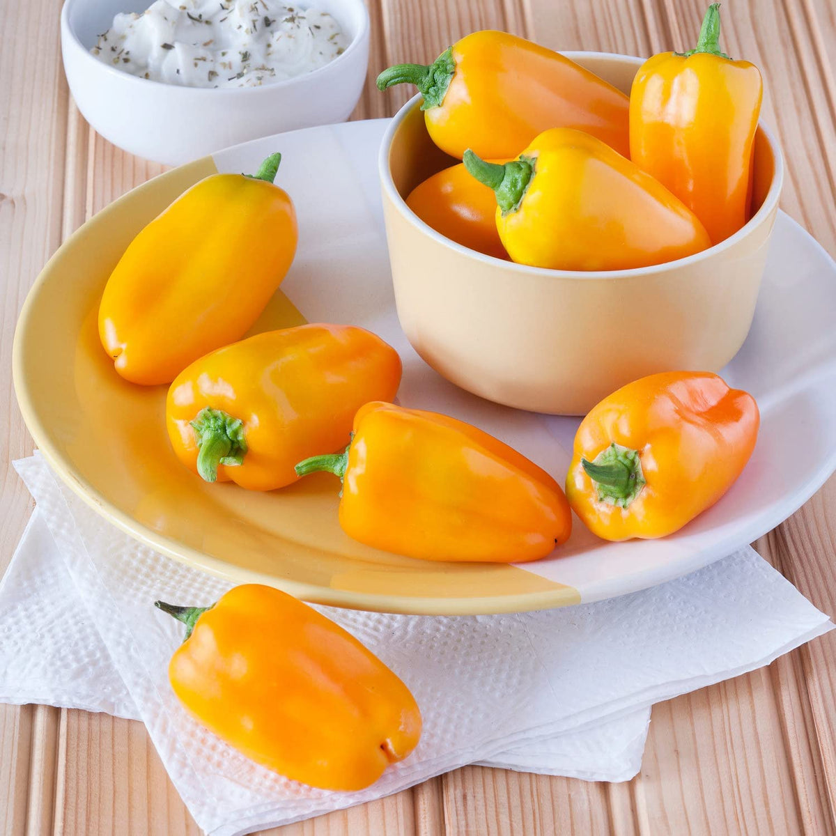 Bonnie Plants Orange Snacking Pepper plant with stake, strong yields in containers.
