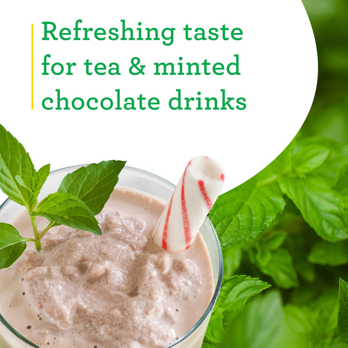 Harvest-ready peppermint leaves from Bonnie Plants for teas and flavor.