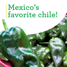 Bonnie Plants Poblano-Ancho peppers maturing to red ancho for savoring.