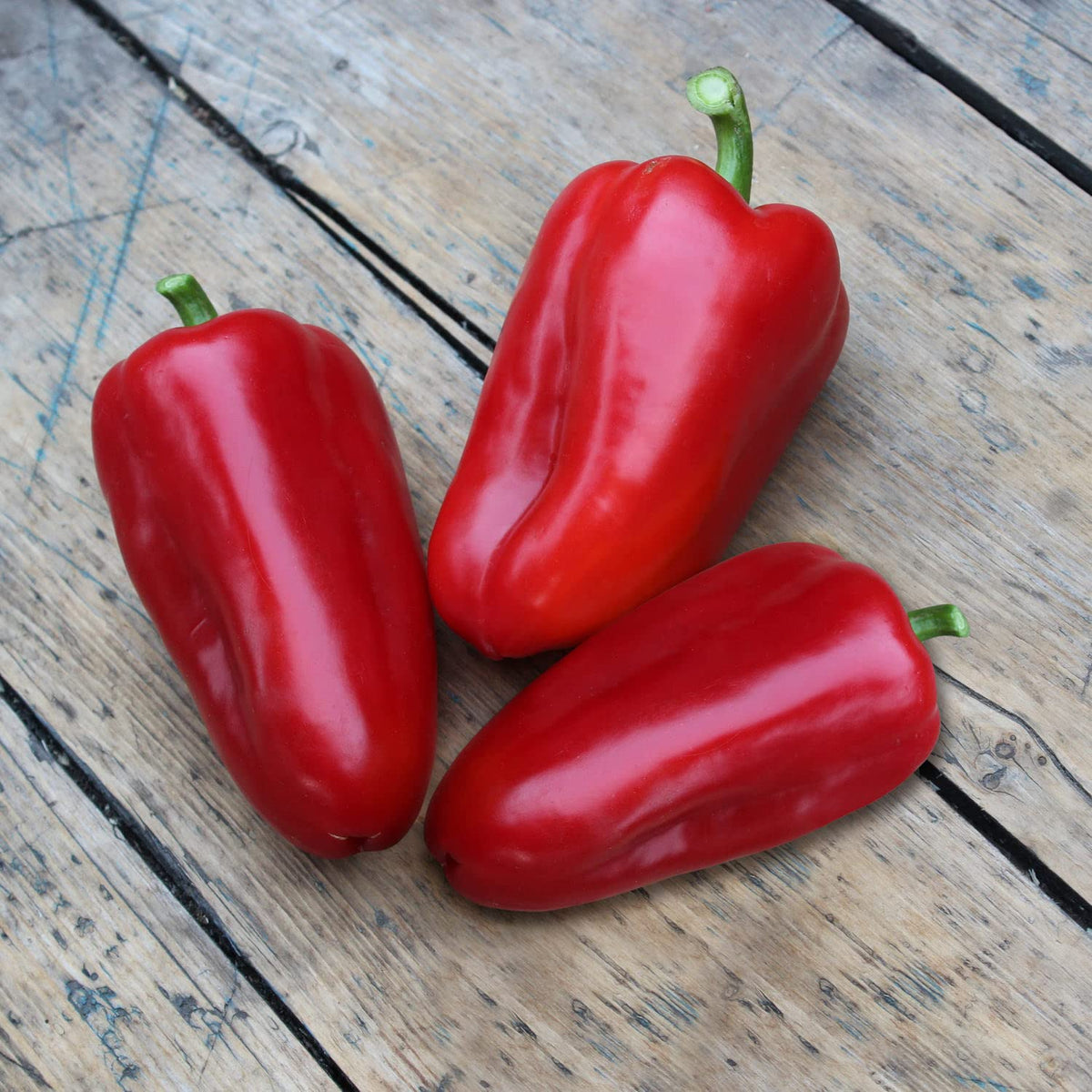 Bonnie Plants Snacking Red Pepper green fruit close-up for fresh eating