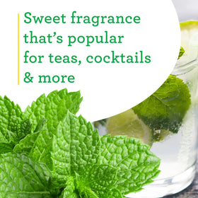 Spearmint potted indoors by Bonnie Plants for kitchen freshness.