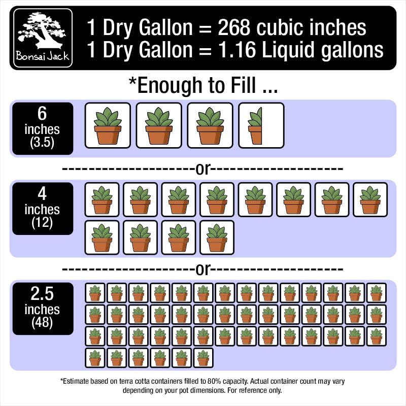 Bonsai Jack gritty mix supports fast drainage for home bonsai and succulents