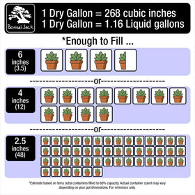Bonsai Jack gritty mix supports fast drainage for home bonsai and succulents
