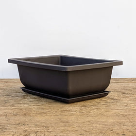 Bonsai Outlet brown pot close-up shows durable matte finish.