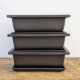 Bonsai Outlet drainage tray helps prevent soil loss and spills.
