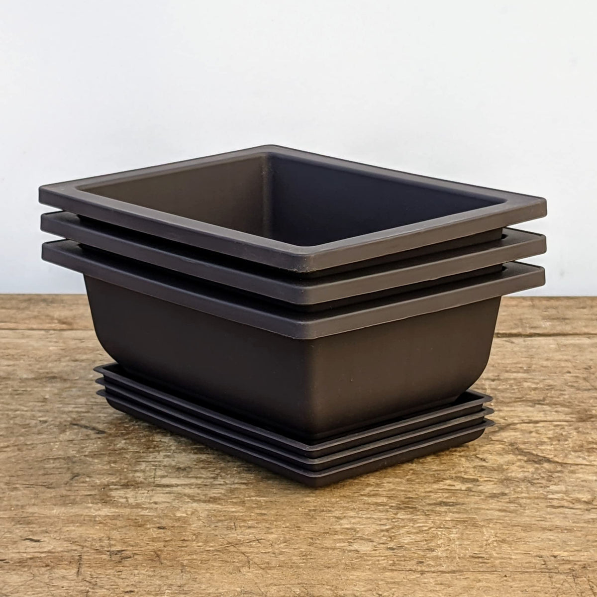 Bonsai Outlet training pot with built-in mesh drainage keeps soil in place.