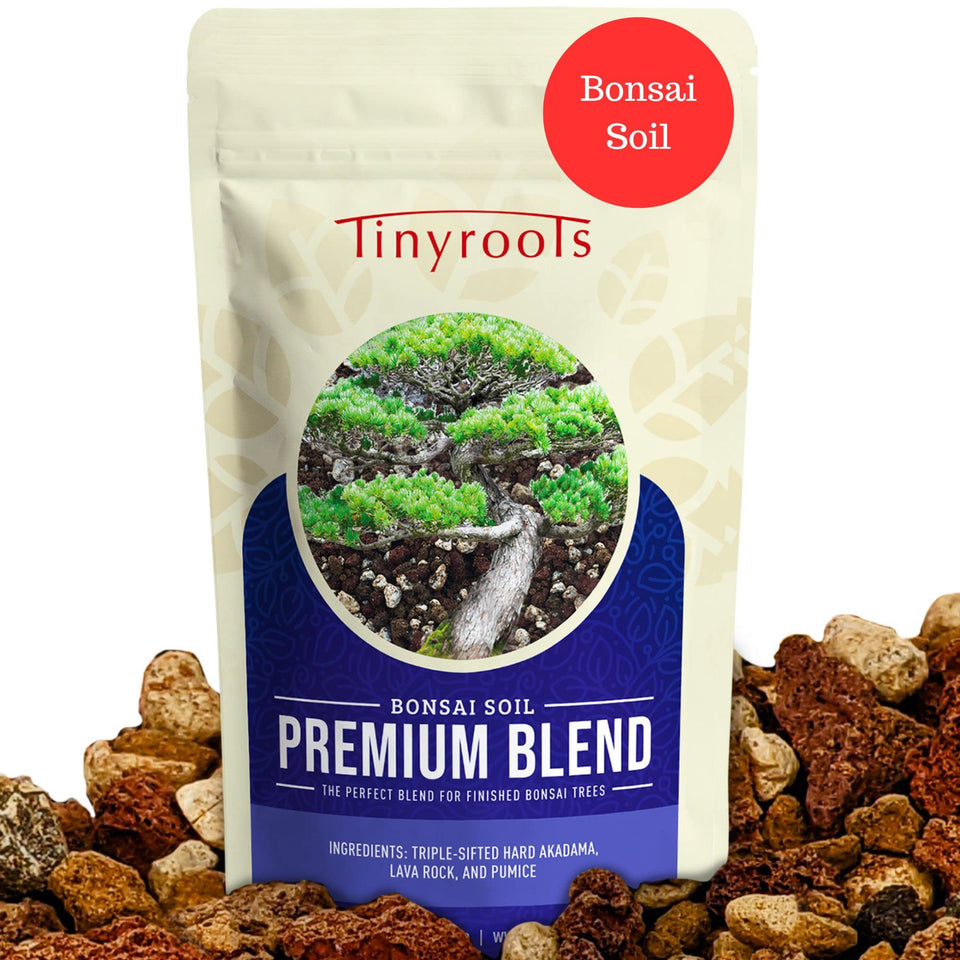 Bonsai Outlet premium bonsai soil blend with akadama lava pumice for finished trees