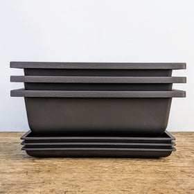 Bonsai Outlet shatter-resistant pot withstands drops in any setting.