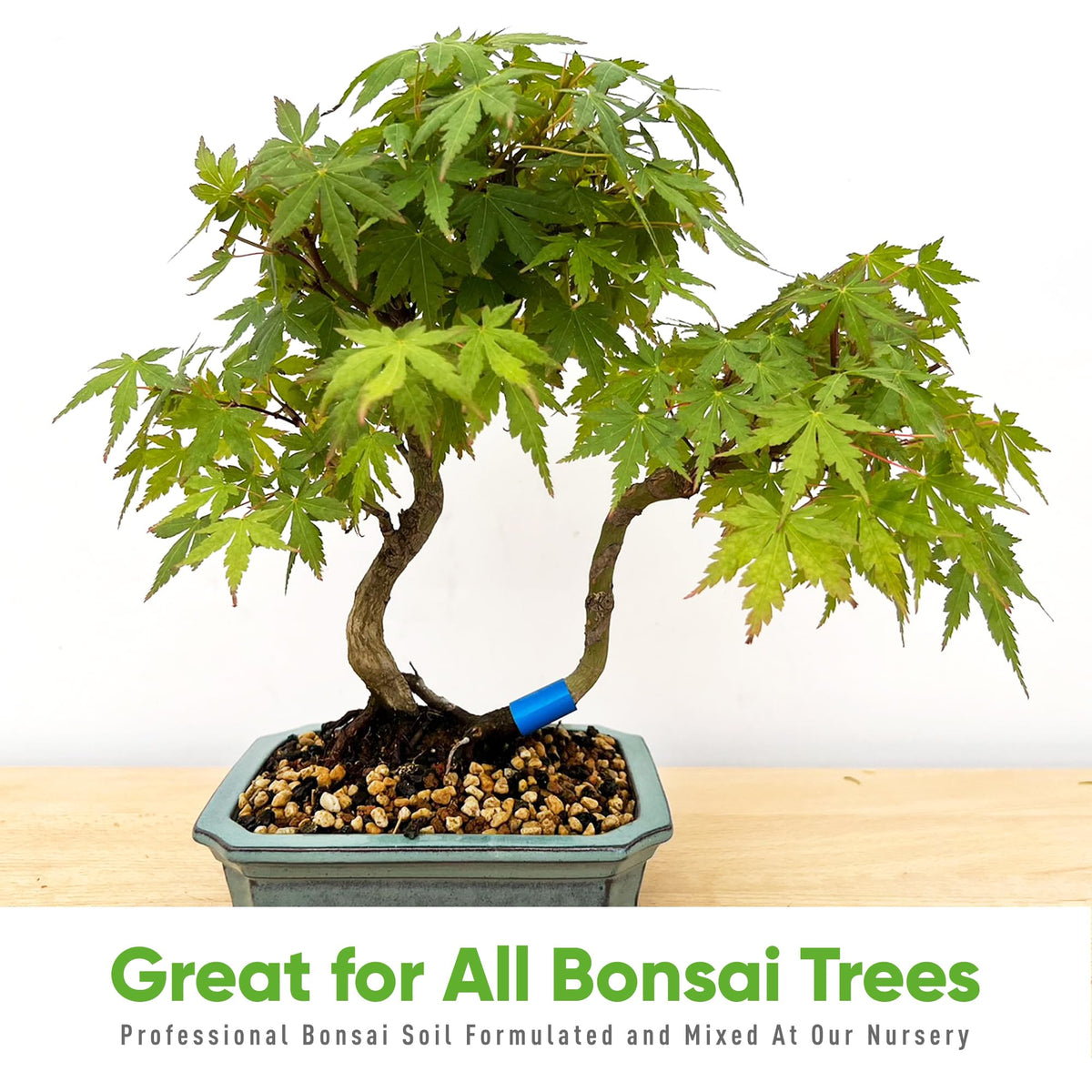 Tinyroots Bonsai Soil Mix bag label highlighting pre-mixed convenience for bonsai care.