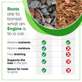 Close-up of Tinyroots soil mix showing drainage-friendly particle texture.