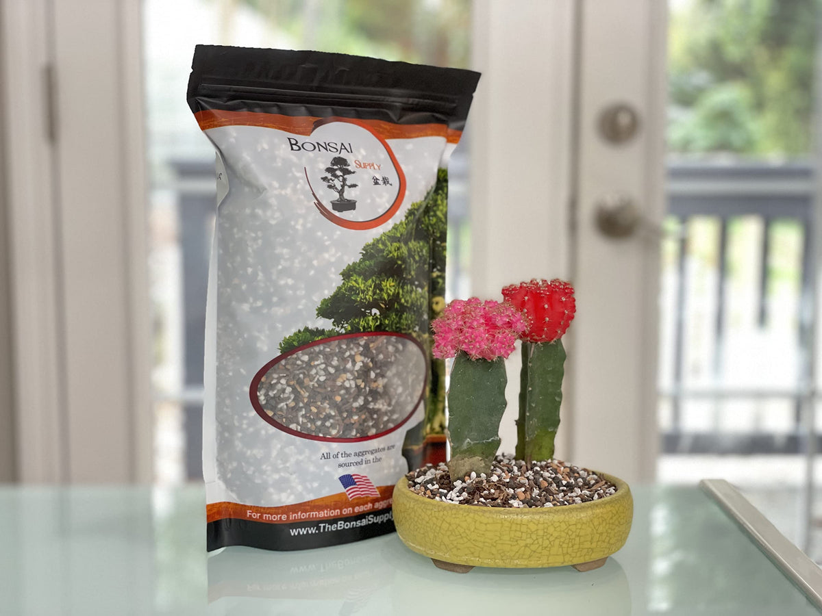 Nursery-quality The Bonsai Supply soil shown in container garden setup.