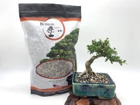 Drainage illustration with The Bonsai Supply soil showing balanced air and moisture.